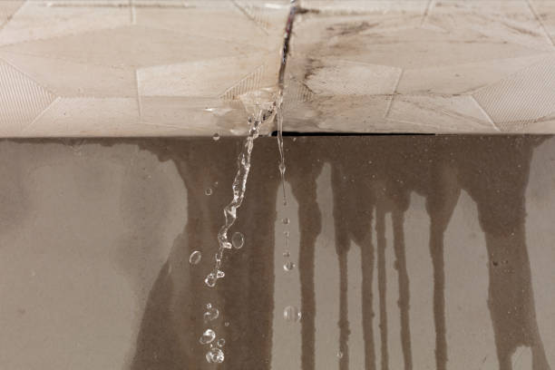 Professional Water Damage Repair technician working in Columbiana, AL